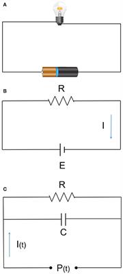 Improving Perioperative Outcomes Through Minimally Invasive and Non-invasive Hemodynamic Monitoring Techniques